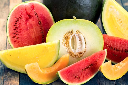 Melonen-Arten