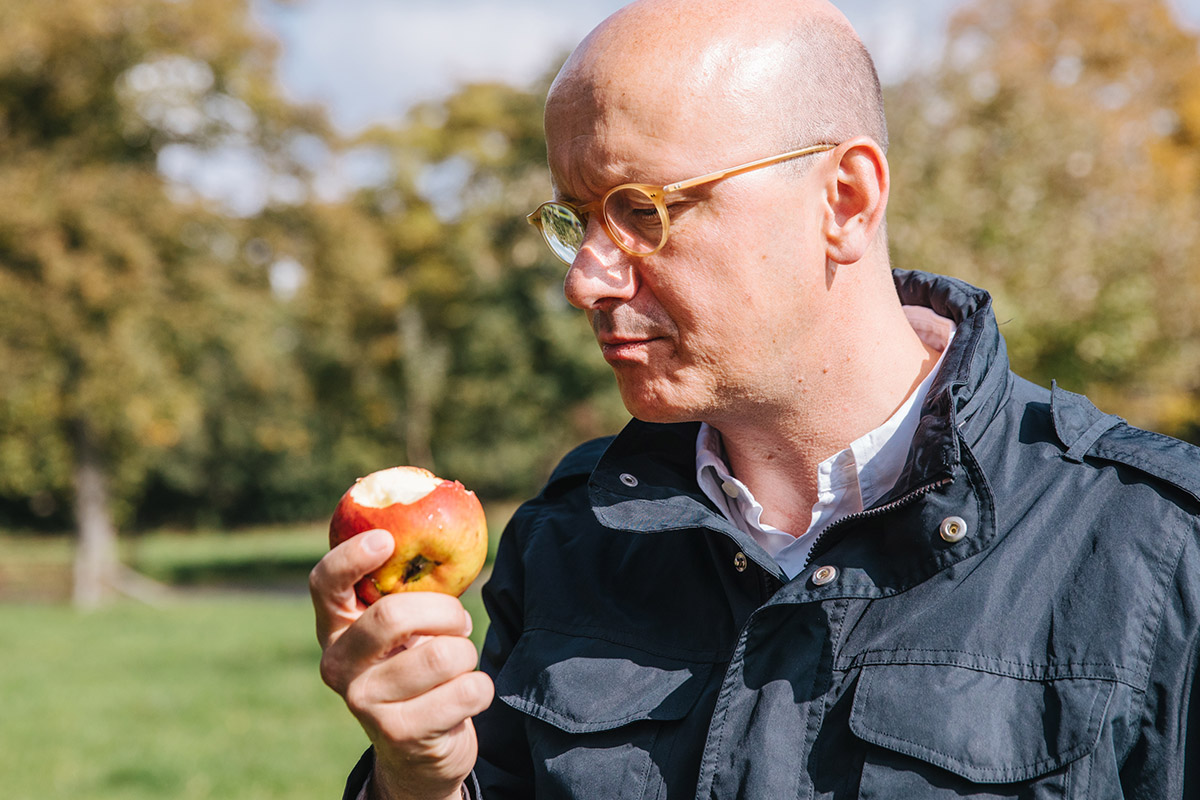 Die Äpfel erreichen Ihre optimale Reife wenn sie selbst vom Baum fallen