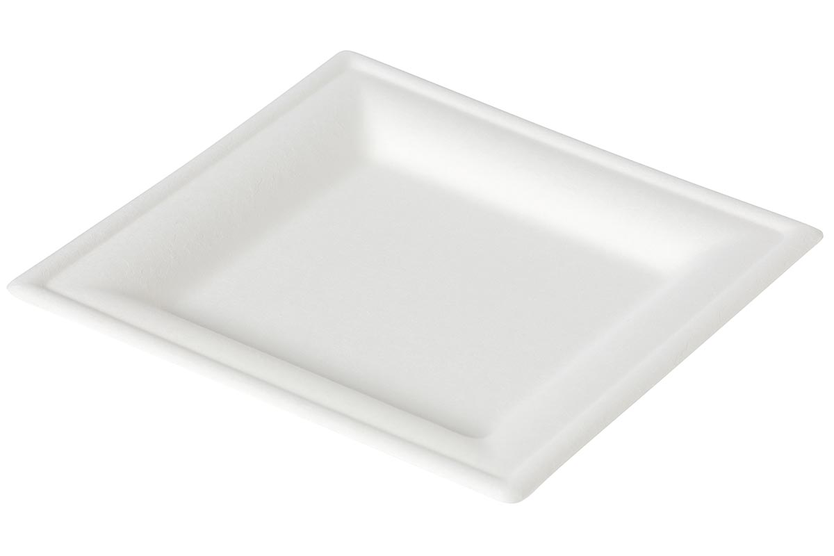 Teller aus Bagasse