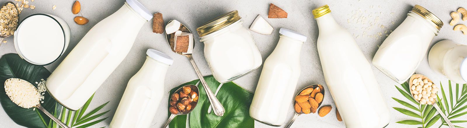 Milchalternativen für Laktoseintoleranz und Veganer