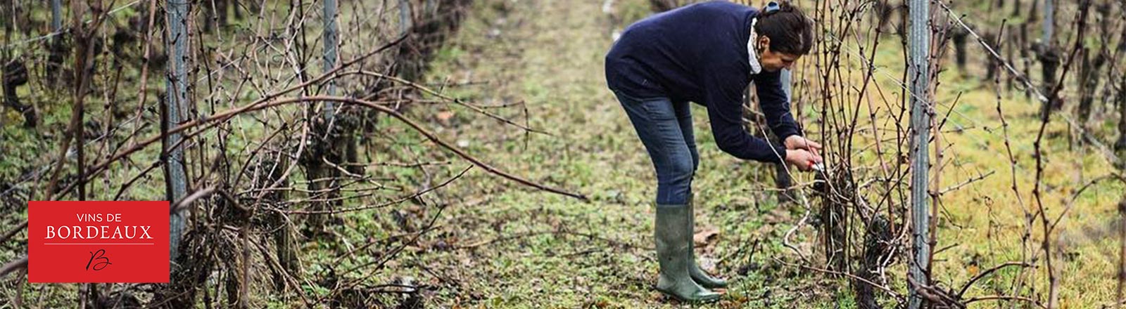 Sommelière Verena Herzog stellt die Region des Bordeaux vor