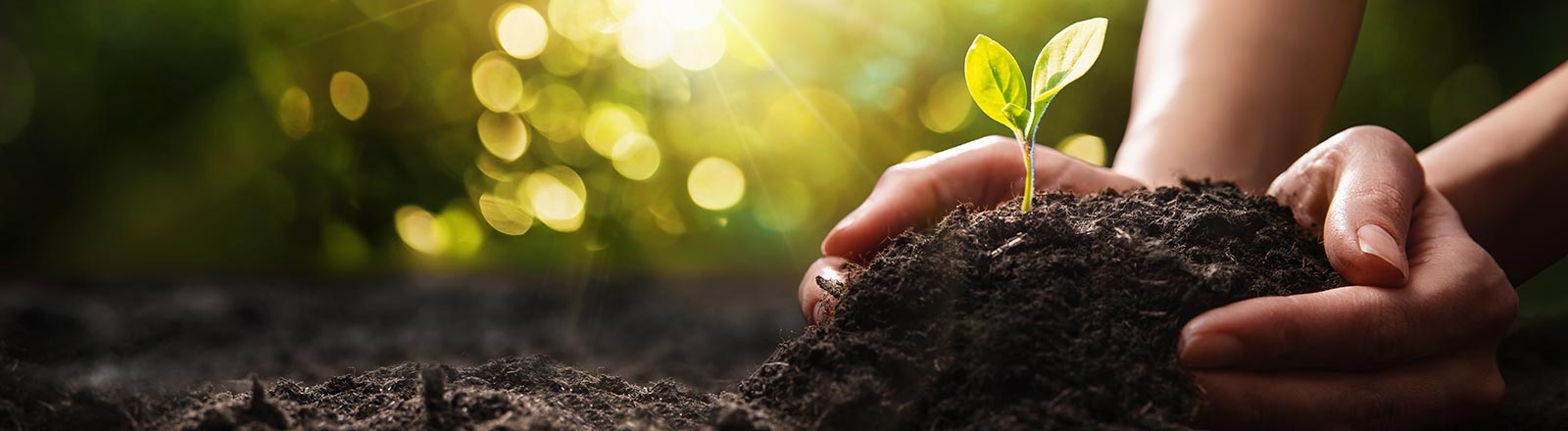 Nachhaltigkeit und Bio