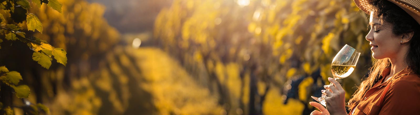 Bioweine mit dem Fair'n'Green Siegel