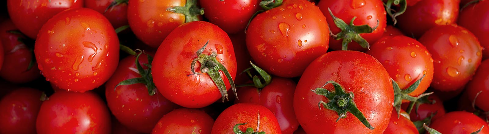 CHEFS CULINAR Tomaten