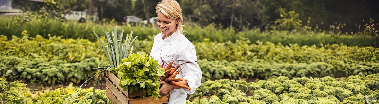 Nachhaltige Ernährung und Ernährungsmanagement