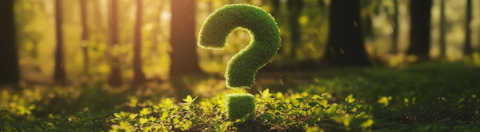 Fragen zur Nachhaltigkeit