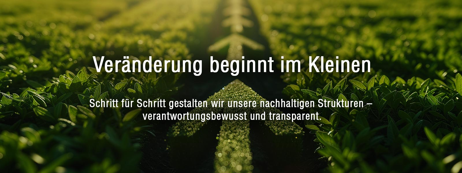 Nachhaltigkeit bei CHEFS CULINAR