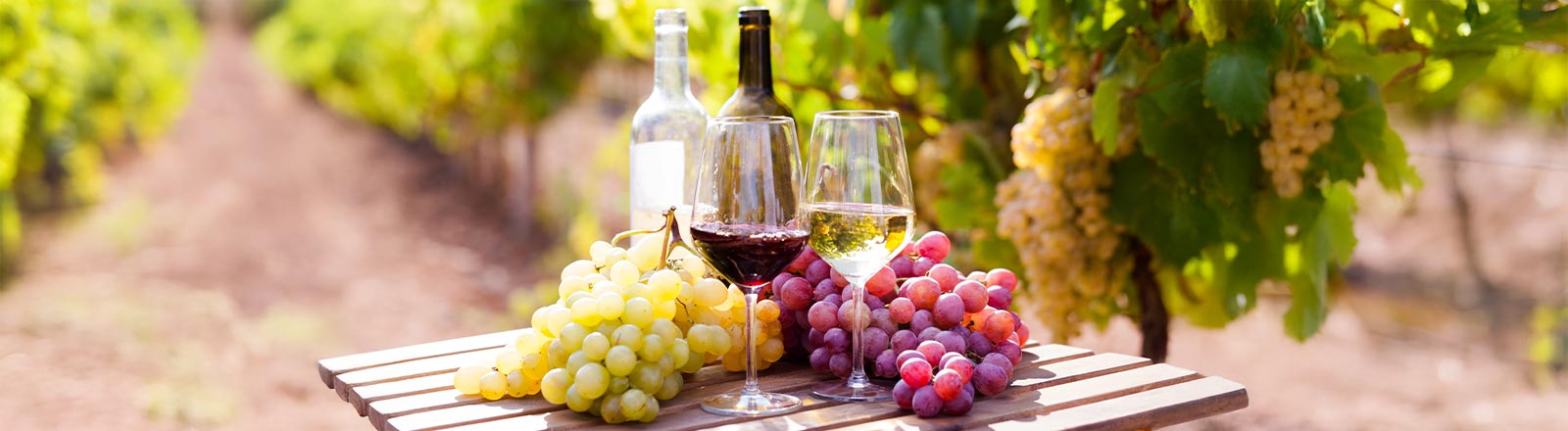 CHEFS CULINAR Die größten Wein-Irrtümer