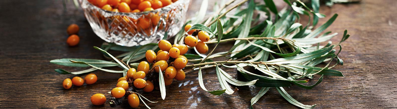 CHEFS CULINR Sanddorn