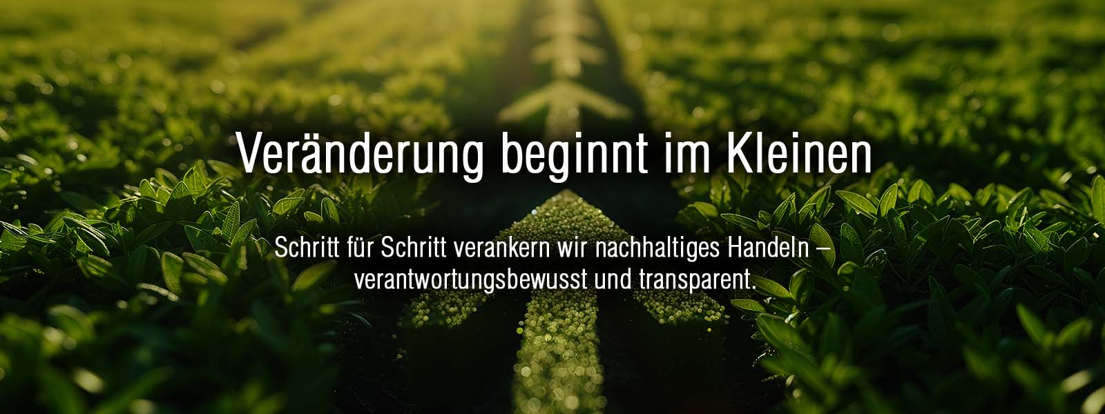 Nachhaltigkeit bei CHEFS CULINAR