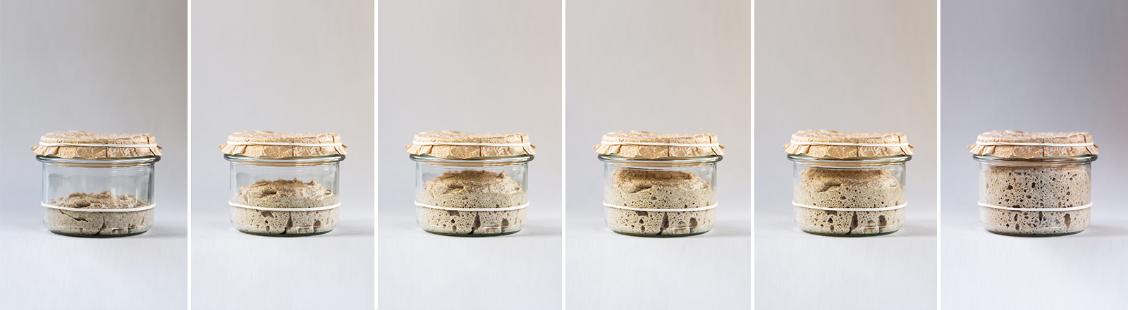 Sauerteig selbst ansetzen