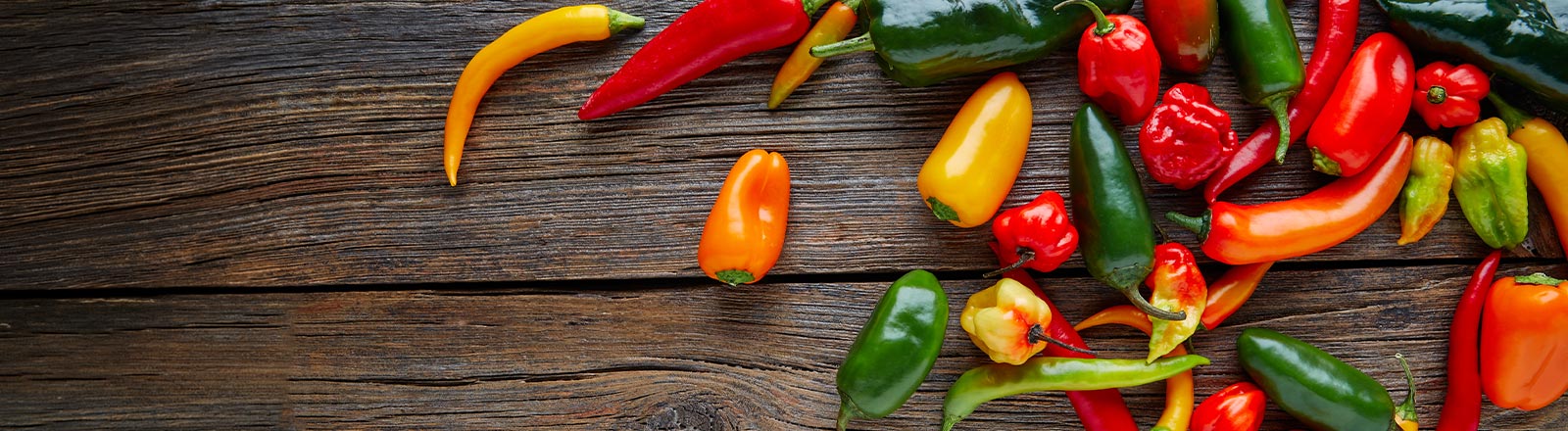 Bunte Chili Schoten