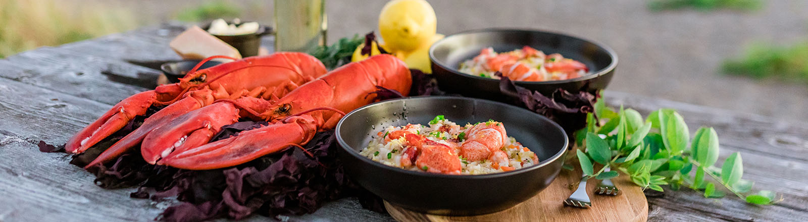CHEFS CULINAR Hummer von New Brunswick