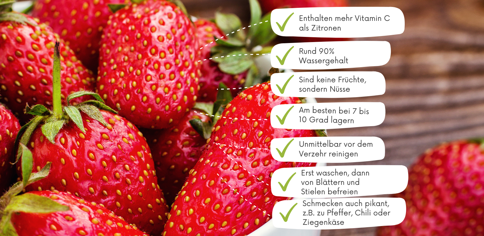 Erdbeeren