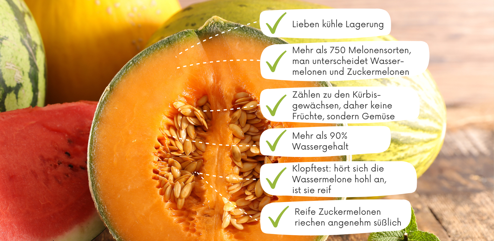 Melonen