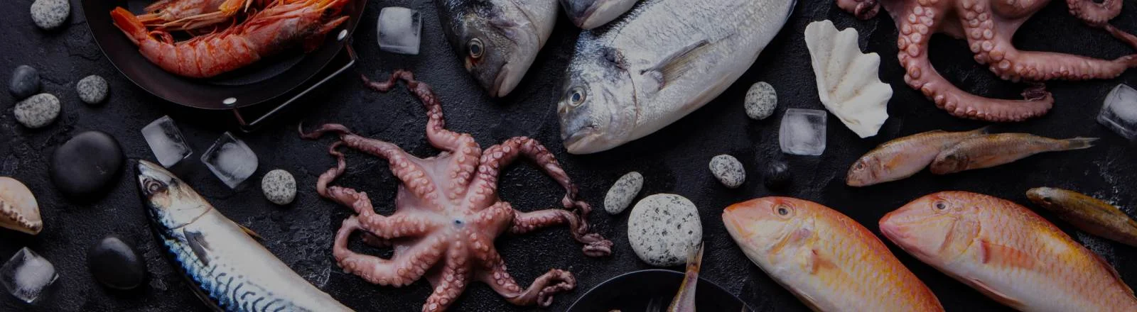 Schmuckbild: Diverse Fische und Meeresfrüchte