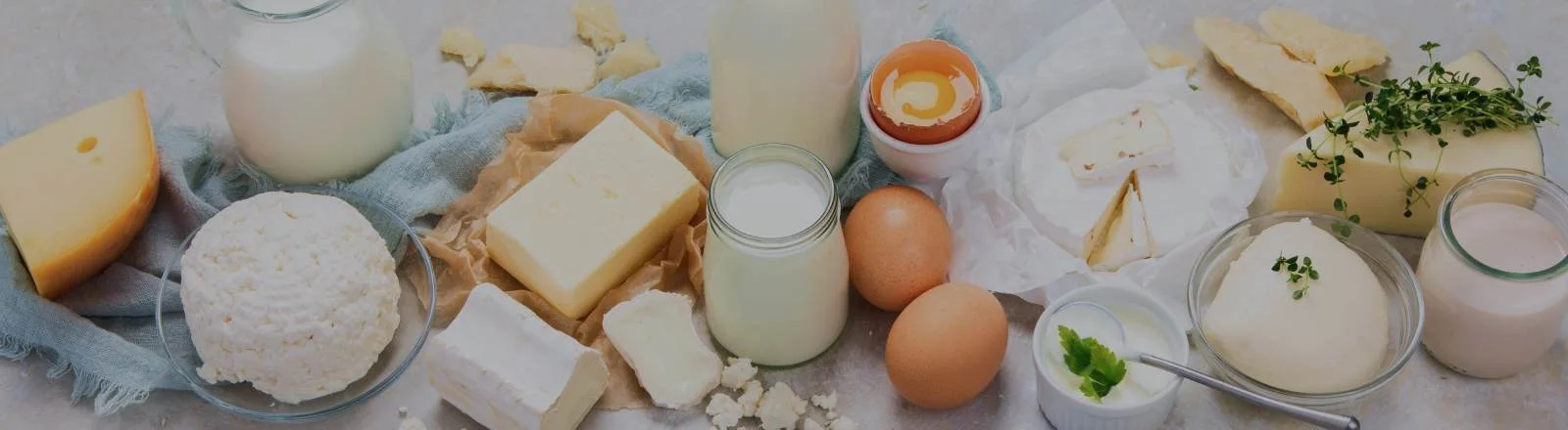 Schmuckbild: Diverse Molkereiprodukte und Eier