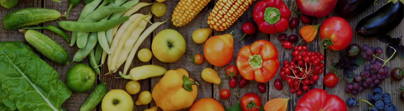 Schmuckbild: Diverse Obst- und Gemüsesorten