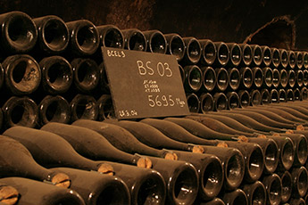 5 bis 12 Jahre lagern die Bollinger Weinflaschen