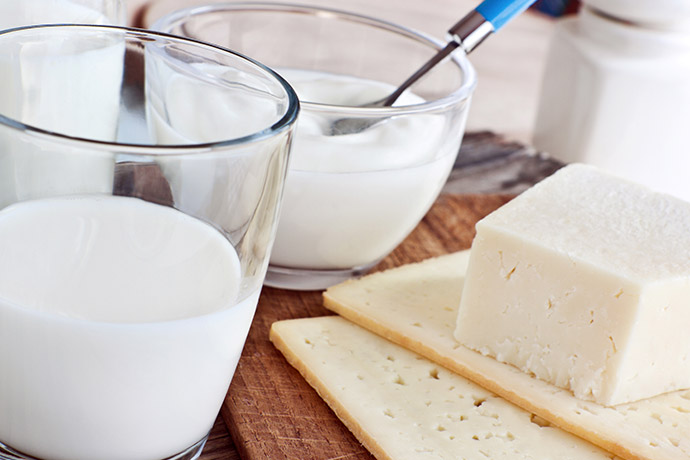 Milchprodukte Käse Quark Milch