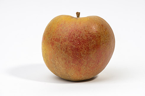 Boskoop-Apfel