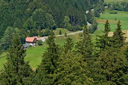 Der Schwarzwald erhöhte seine Bekanntheit mit der Schwarzwälder Kirschtorte