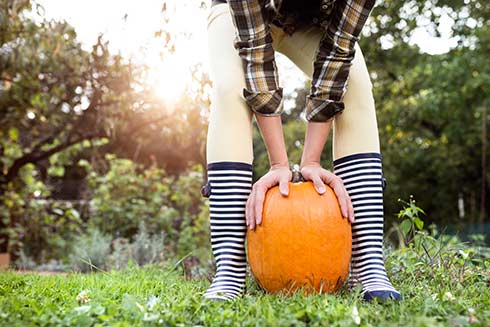 Die Kürbisse sind wahre Vitaminbomben im Herbst