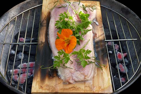 Fisch, der auf der Holzplanke gegrillt wird, schmeckt besonders aromatisch