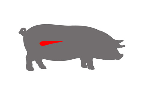 Schweinefilet ist das hochwertigste Teilstück des Schweins und wird gerne als Medaillon serviert.