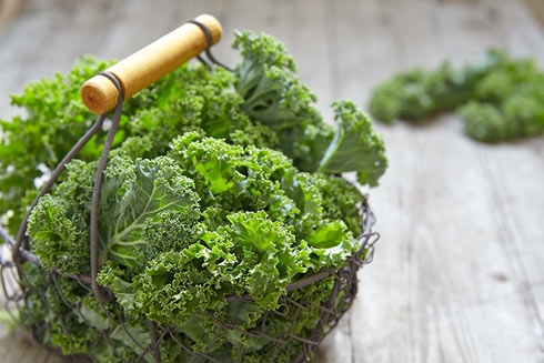 Aus Grünkohl werden die in den USA beliebten Kale Chips gemacht
