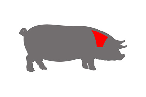 Der Schweinenacken wird auch Hals oder Kamm genannt und ist sehr durchwachsen und saftig.