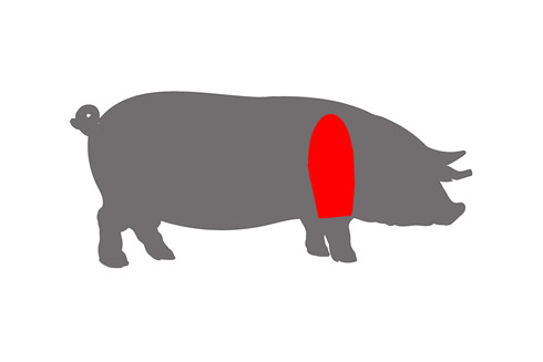 Die Schweineschulter wird auch Bug oder Blatt genannt. Besonders gerne wird sie als Krustenbraten serviert.
