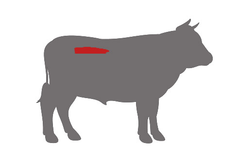 Das Beste vom Rind: Das Filet ist die erste Wahl für Steakfleisch und wird auch als Braten angeboten.