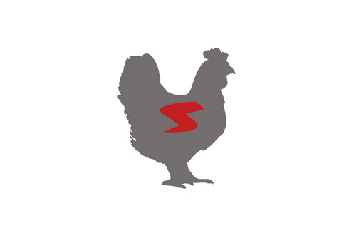 Von dem Flügel der Geflügelsorten werden gerne Chicken Wings aus dem Backofen oder der Friteuse serviert.