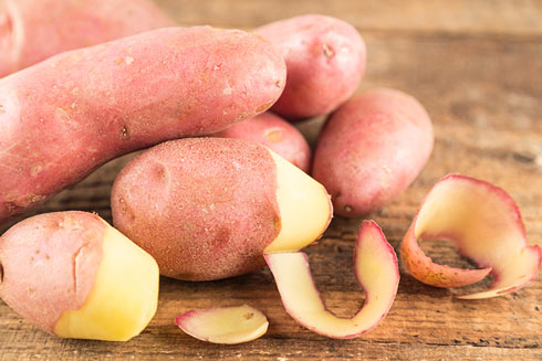 Kartoffelsorte Franceline