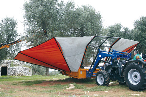 Primoljo setzt auf eine schonende Olivenernte