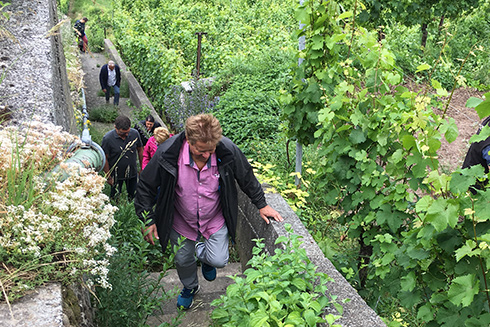 Zu Fuß ging es auf den Weinberg