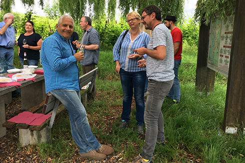 Köstliche Weine und schmackhafter Käse gab es beim Wein-Picknick