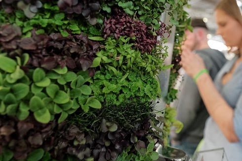 Eine Kräuterbar wie auf der CHEFS CULINAR Messe Berlin kommt auch bei Gästen im Restaurant gut an