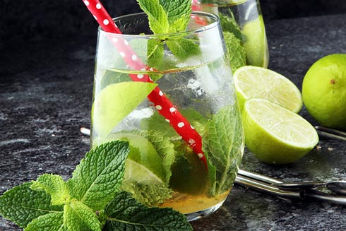 Mint Tonic