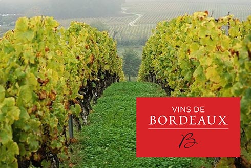 Entdecken Sie bei unserem Wein-Tasting die Welt des Bordeaux