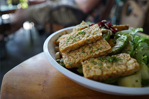 Tempeh wird fermentiert