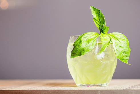 Gin Basil Highball