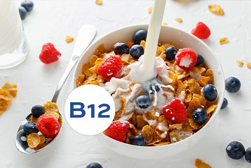 B12 wird in Lebensmitteln angereichert