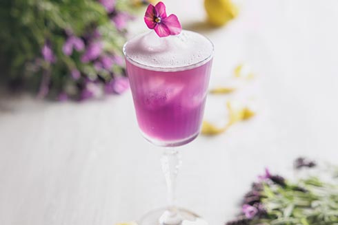 CHEFS CULINAR Lav'a Belle Sour Cocktail Empfehlung