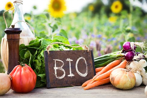 Bio-Lebensmittel in Kindergärten und Kindertagesstätten