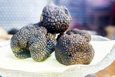 Trüffel auf Küchenpapier lagern