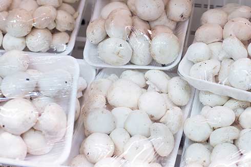 Champignons nicht in Plastikfolie lagern