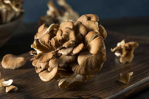 Maitake