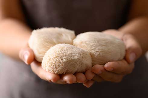 Pom Pom blanc